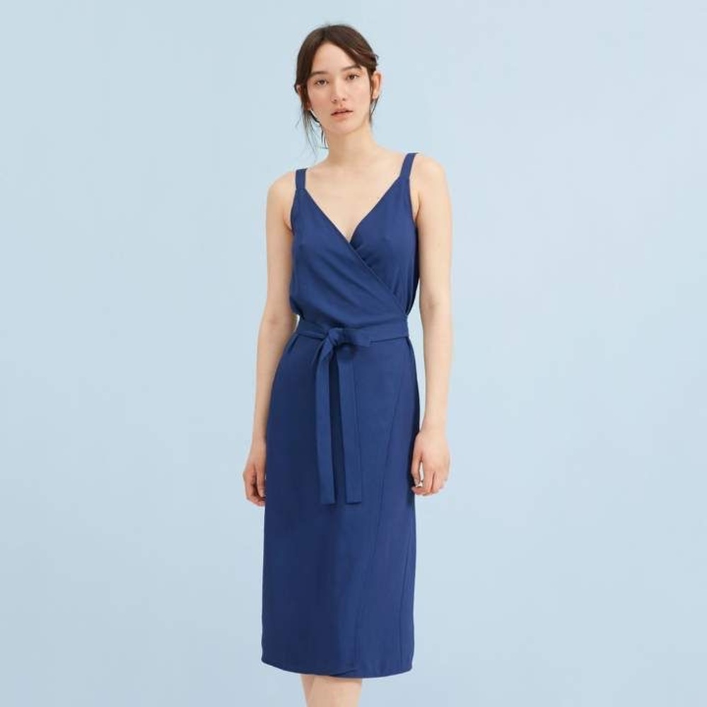 Everlane Wrap Dress